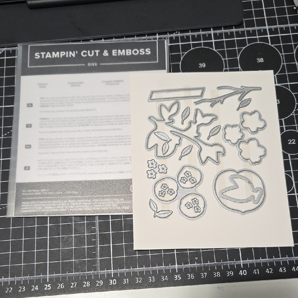 Peach Stampin' Cut & Emboss Dies